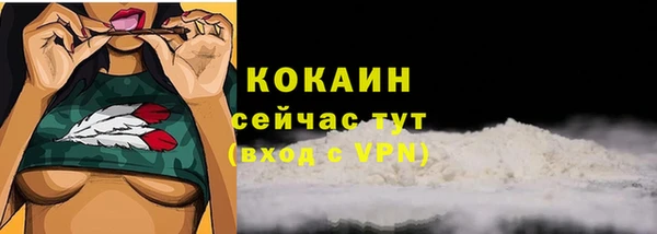 эйфоретик Козловка