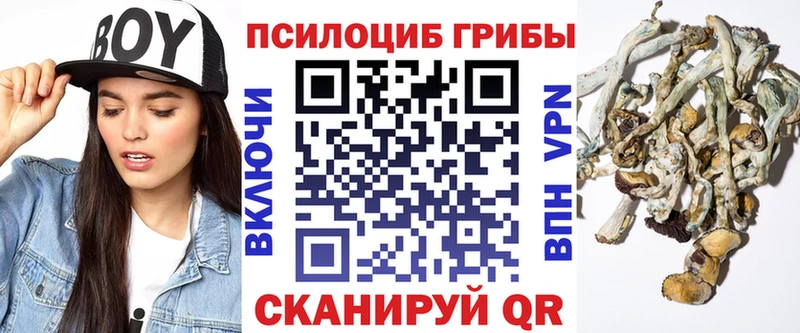 Псилоцибиновые грибы GOLDEN TEACHER  Купить закладки  Красноуфимск 